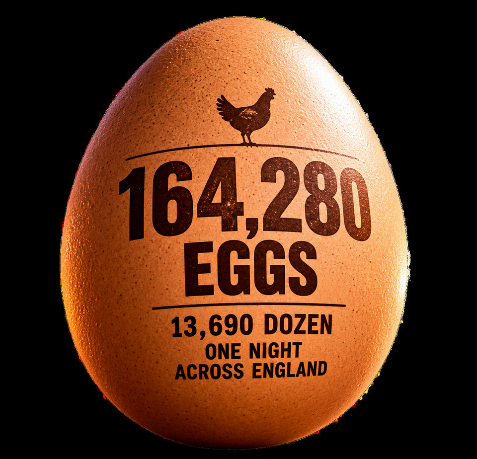 Stamped Egg Infographic  Night Across England
