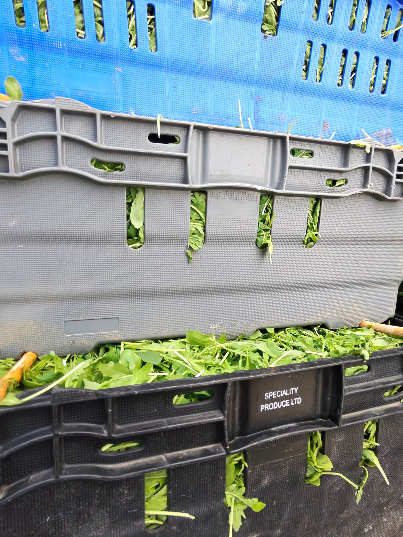 Fresh green leaves visible through stacked ventilated produce crates
