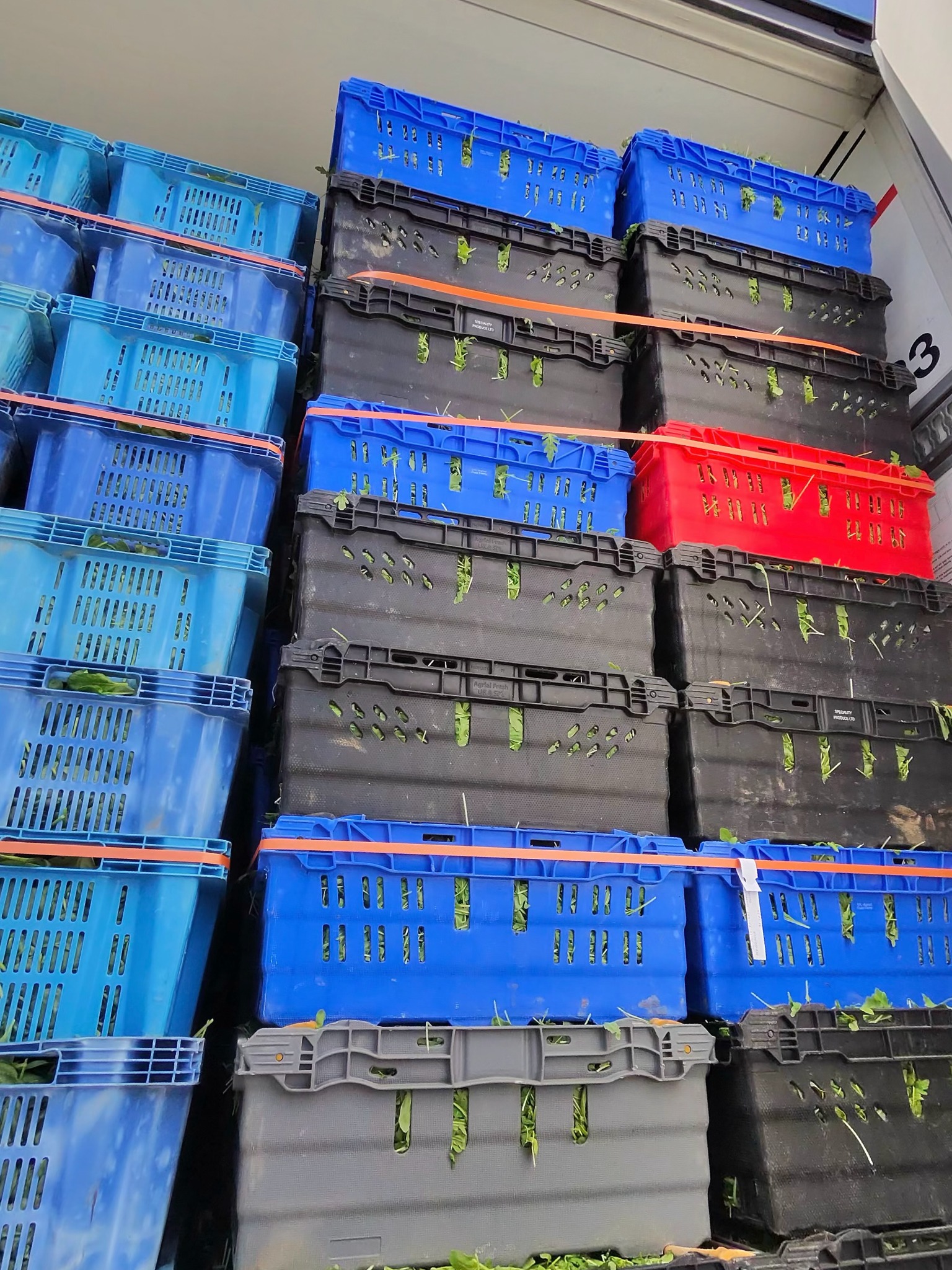 Tall stacks of blue black grey and red produce crates inside a refrigerated trailer