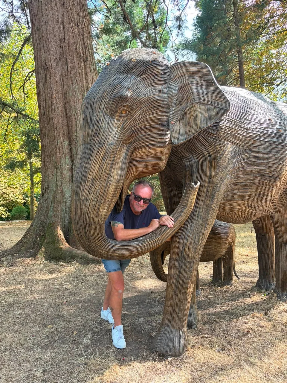 John leaning through the curved trunk of a large woven elephant sculpture