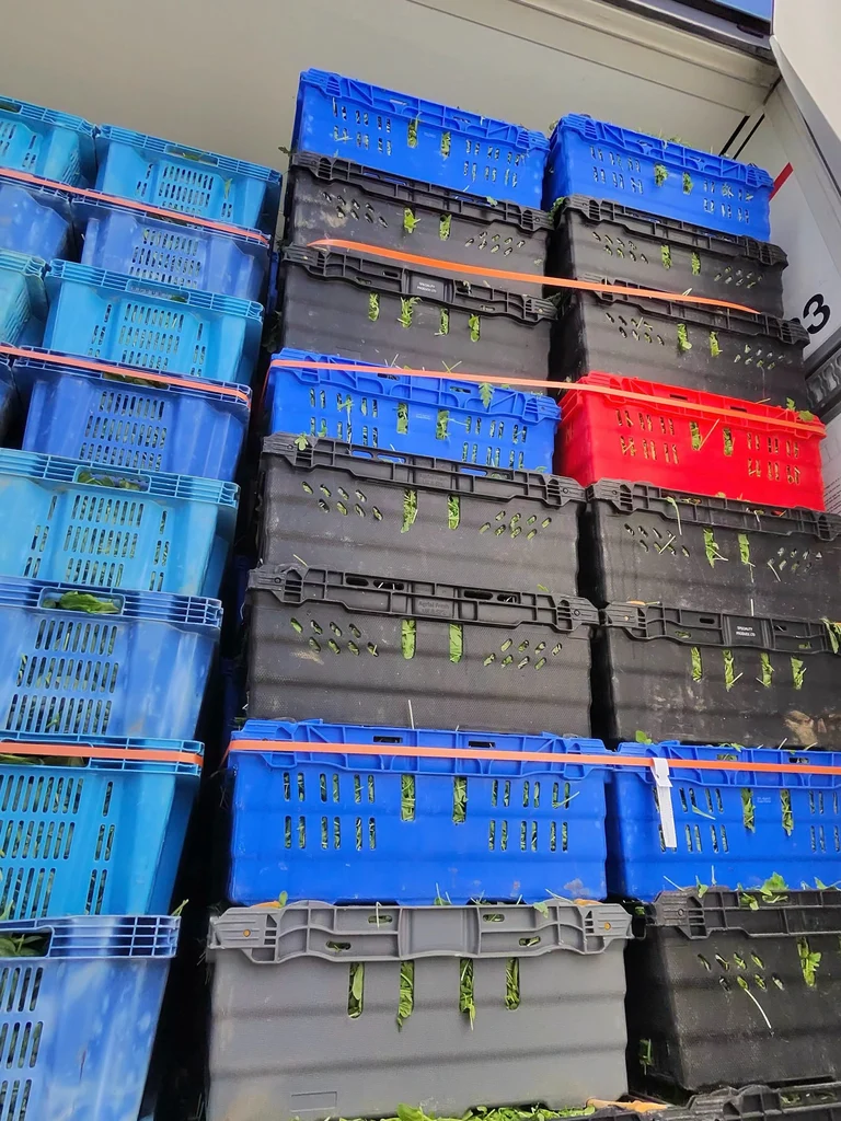 Tall stacks of blue black grey and red produce crates inside a refrigerated trailer