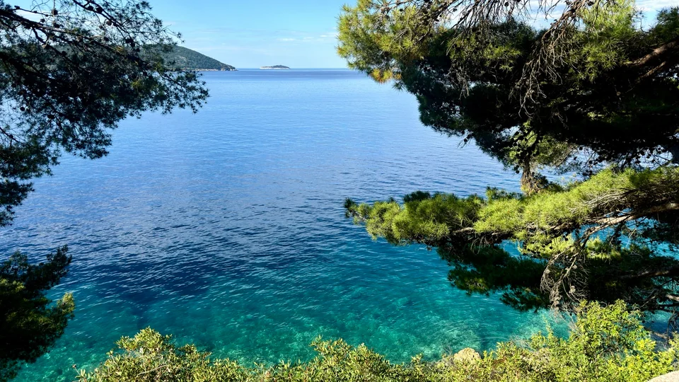 Clear turquoise Adriatic water framed by pine trees