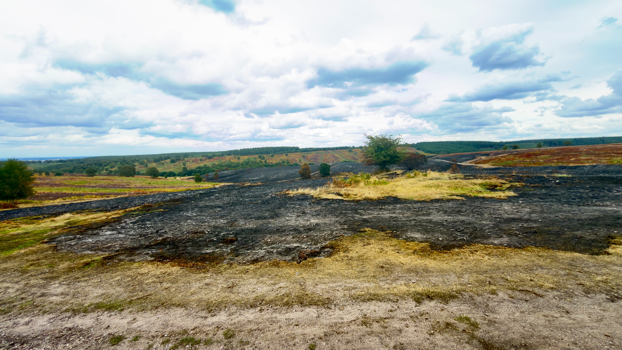 Blackened ground stretching through Sherbrook Valley beneath a cloudy sky