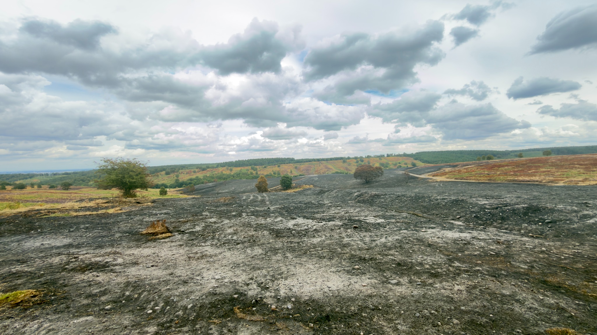 The burnt valley under heavy clouds with unburnt heather visible beyond